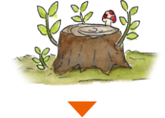 ときの杜はこんなところ